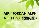 AIR（JORDAN ALPHA 1 （GS） 配置問題）
