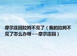 摩爾莊園拉姆不見(jiàn)了（我的拉姆不見(jiàn)了怎么辦呀~~摩爾莊園）