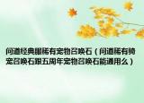 問道經(jīng)典服稀有寵物召喚石（問道稀有騎寵召喚石跟五周年寵物召喚石能通用么）