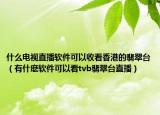 什么電視直播軟件可以收看香港的翡翠臺（有什麼軟件可以看tvb翡翠臺直播）