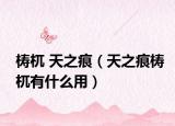 梼杌 天之痕（天之痕梼杌有什么用）