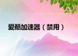 愛(ài)酷加速器（禁用）