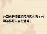 公司自行清算的程序和內容（公司怎樣可以自行清算）