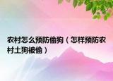 農(nóng)村怎么預(yù)防偷狗（怎樣預(yù)防農(nóng)村土狗被偷）