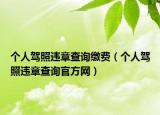 個(gè)人駕照違章查詢繳費(fèi)（個(gè)人駕照違章查詢官方網(wǎng)）