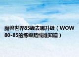 魔獸世界85級(jí)去哪升級(jí)（WOW80-85的練級(jí)路線誰知道）