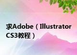 求Adobe（Illustrator CS3教程）