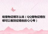 給寵物征婚怎么說(shuō)（QQ寵物征婚在哪可以看到征婚者的ＱＱ號(hào)）