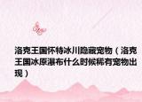 洛克王國(guó)懷特冰川隱藏寵物（洛克王國(guó)冰原瀑布什么時(shí)候稀有寵物出現(xiàn)）