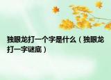 獨眼龍打一個字是什么（獨眼龍打一字謎底）