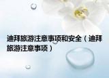 迪拜旅游注意事項(xiàng)和安全（迪拜旅游注意事項(xiàng)）