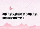 待我長發(fā)及腰啥意思（待我長發(fā)即腰的原話是什么）