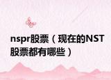 nspr股票（現(xiàn)在的NST股票都有哪些）