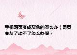 手機(jī)網(wǎng)頁變成灰色的怎么辦（網(wǎng)頁變灰了動(dòng)不了怎么辦呢）