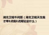 湖北衛(wèi)視午間版（湖北衛(wèi)視天生我才早8點晚8點網(wǎng)址是什么）