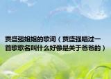 賈盛強(qiáng)姐姐的歌詞（賈盛強(qiáng)唱過(guò)一首歌歌名叫什么好像是關(guān)于爸爸的）