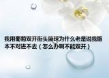 我用葡萄雙開街頭籃球為什么老是說我版本不對進不去（怎么辦啊不能雙開）