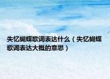 失憶蝴蝶歌詞表達(dá)什么（失憶蝴蝶歌詞表達(dá)大概的意思）