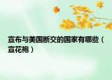 宣布與美國斷交的國家有哪些（宣花袍）