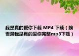 我是真的愛你下載 MP4 下載（魏雪漫我是真的愛你完整mp3下載）