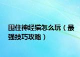 圍住神經貓怎么玩（最強技巧攻略）