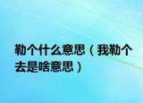 勒個什么意思（我勒個去是啥意思）