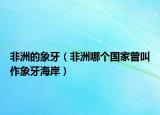 非洲的象牙（非洲哪個(gè)國家曾叫作象牙海岸）