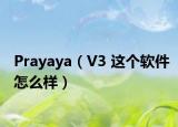 Prayaya（V3 這個軟件怎么樣）