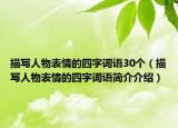 描寫人物表情的四字詞語30個（描寫人物表情的四字詞語簡介介紹）