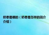 奶棗是哪的（奶棗是怎樣的簡介介紹）
