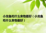 小龍魚吃什么食物最好（小龍魚吃什么食物最好）