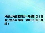 只是近黃昏的前面一句是什么（什么只是近黃昏前一句是什么簡(jiǎn)介介紹）
