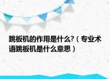 跳板機(jī)的作用是什么?（專(zhuān)業(yè)術(shù)語(yǔ)跳板機(jī)是什么意思）