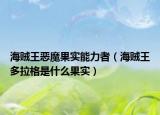 海賊王惡魔果實(shí)能力者（海賊王多拉格是什么果實(shí)）
