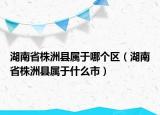 湖南省株洲縣屬于哪個(gè)區(qū)（湖南省株洲縣屬于什么市）