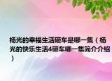 楊光的幸福生活砸車是哪一集（楊光的快樂生活4砸車哪一集簡介介紹）
