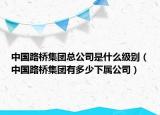 中國(guó)路橋集團(tuán)總公司是什么級(jí)別（中國(guó)路橋集團(tuán)有多少下屬公司）