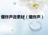 爆炸聲音素材（爆炸聲）