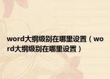 word大綱級別在哪里設(shè)置（word大綱級別在哪里設(shè)置）