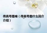 傳真號(hào)是啥（傳真號(hào)是什么簡(jiǎn)介介紹）