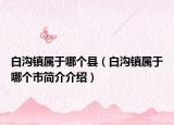 白溝鎮(zhèn)屬于哪個(gè)縣（白溝鎮(zhèn)屬于哪個(gè)市簡(jiǎn)介介紹）
