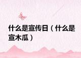 什么是宣傳日（什么是宣木瓜）