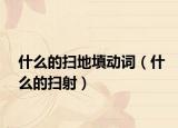 什么的掃地填動詞（什么的掃射）