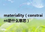 materiality（constraint是什么意思）