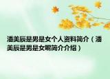 潘美辰是男是女個人資料簡介（潘美辰是男是女呢簡介介紹）
