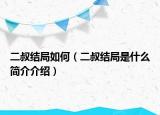 二叔結(jié)局如何（二叔結(jié)局是什么簡介介紹）