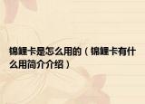 錦鯉卡是怎么用的（錦鯉卡有什么用簡介介紹）