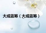大成藍籌（大成藍籌）