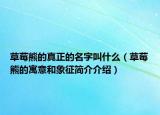 草莓熊的真正的名字叫什么（草莓熊的寓意和象征簡介介紹）