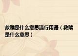 救贖是什么意思流行用語（救贖是什么意思）